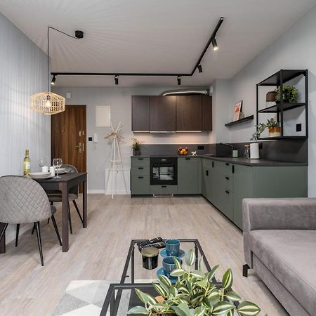 Citycenterapartments-11/21 Bielsko-Biała Ngoại thất bức ảnh