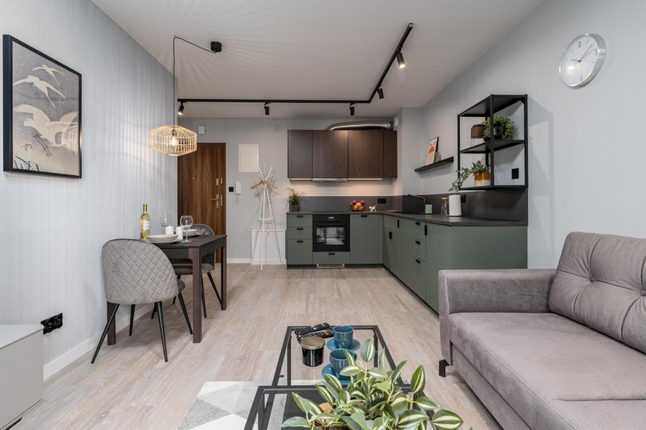 Citycenterapartments-11/21 Bielsko-Biała Ngoại thất bức ảnh